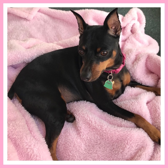 Hi! Welcome to my Closet! - Picture 5 of 7